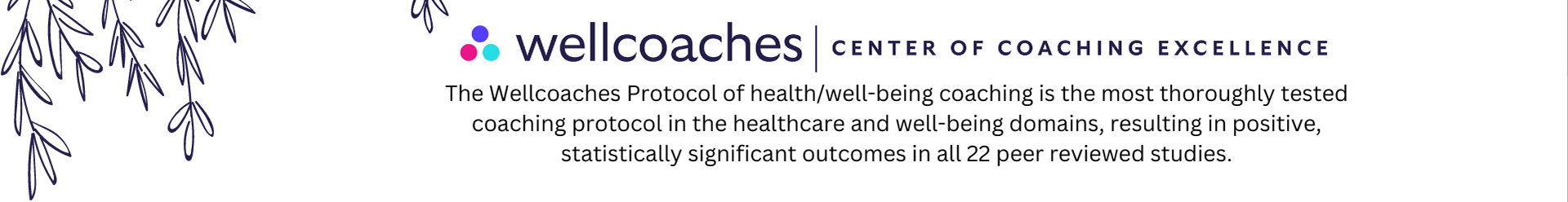 Wellcoaches